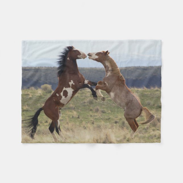 Couverture Polaire Étalons combattants, Steens Mountains, Oregon (Devant (Horizontal))