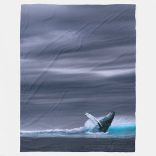 Couverture Polaire Etonnante baleine à bosse