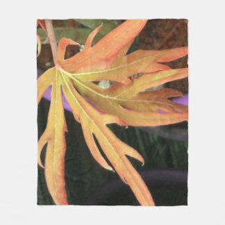 Couverture Polaire Étude sur la feuille 2