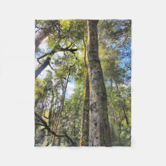 Couverture Polaire Eucalyptus gommiers de la forêt pluviale australie