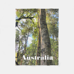 Couverture Polaire Eucalyptus gommiers de la forêt pluviale australie