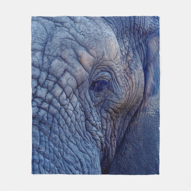 COUVERTURE POLAIRE EXPÉRIENCE MARCHER AVEC LES ÉLÉPHANTS COMMENT ET H (Devant)