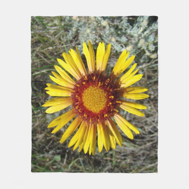 Couverture Polaire F1 Gaillardia fleur sauvage jaune (Devant)