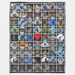 Couverture Polaire Falcons pèlerins de Rochester (New York) 1998-201