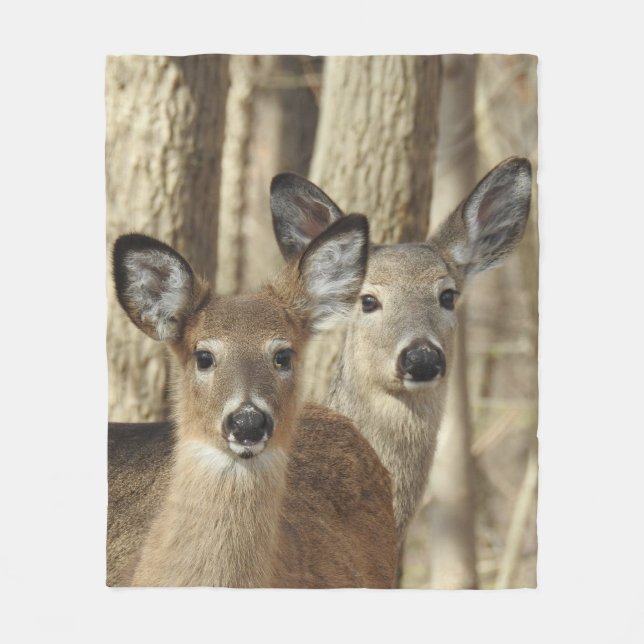 Couverture Polaire Faune couverture, toison, cerf blanc, nature (Devant)