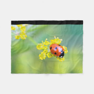 Couverture Polaire femme au sommet