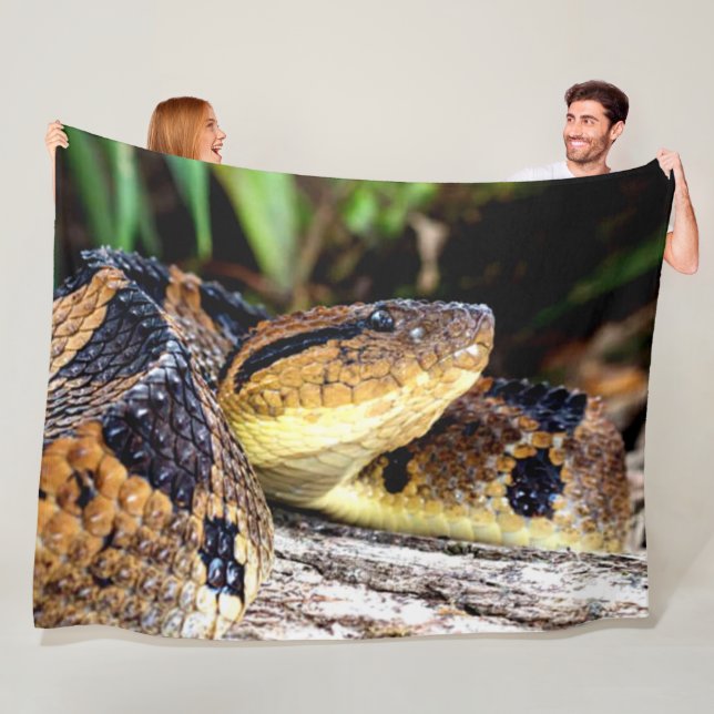 COUVERTURE POLAIRE FER-DE-LANCE (En situation)
