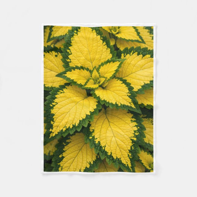 Couverture Polaire Feuilles de Coléus Jaune ADOM Plaid (Devant)