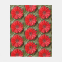 Fleur botanique de marguerite orange