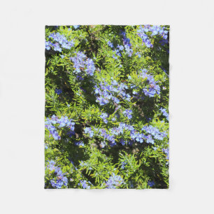 Couverture Polaire fleurs bleues de romarin sur le vert