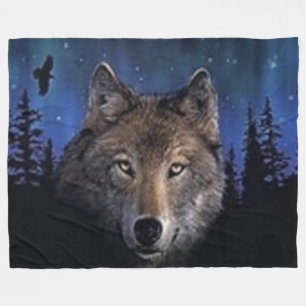 COUVERTURE POLAIRE FLUX