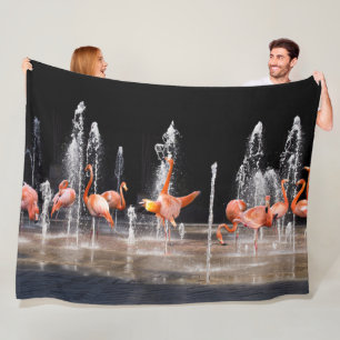 COUVERTURE POLAIRE FONTAINE DE FLAMANT ROSE