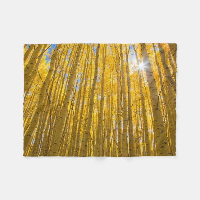 Couverture Polaire Forêt nationale de White River (Devant (Horizontal))