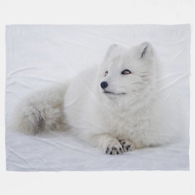 COUVERTURE POLAIRE FOX ARTIQUE (Devant (Horizontal))