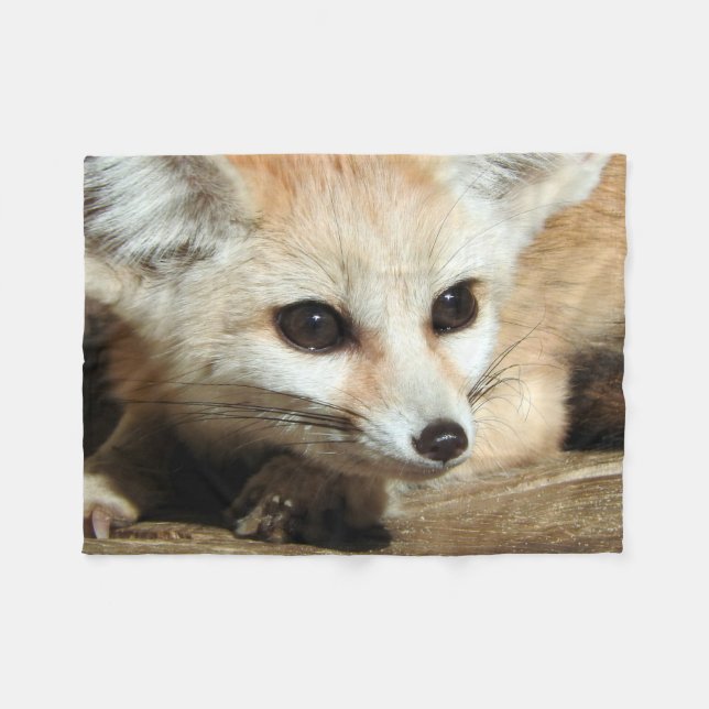 Couverture Polaire Fox de Fennec (Devant (Horizontal))
