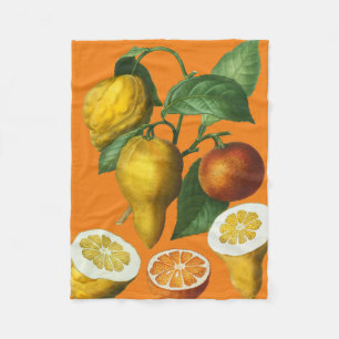 COUVERTURE POLAIRE FRUITS DE CITRÉ