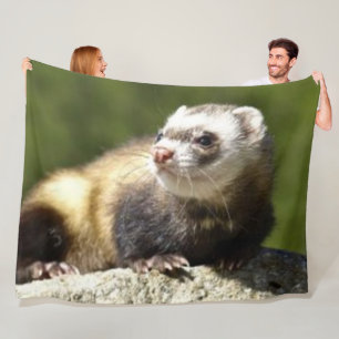 COUVERTURE POLAIRE FURET