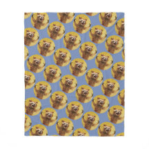 Furieux heureux d'être blotti avec