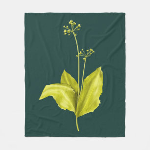 Couverture Polaire Garlic sauvage vert Plante Nature Adulte Botaniste