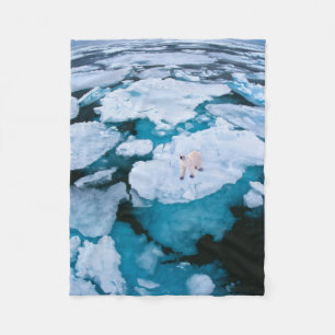 Couverture Polaire Glace et neige   Ours polaire, Océan Arctique, Sva