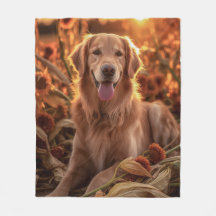 Golden Retriever d'automne