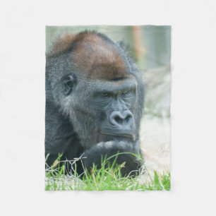 Couverture Polaire Gorilla dans la pensée
