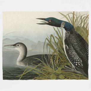 Couverture Polaire Grande plongeur du Nord Loon Audubon Oiseaux d'Amé