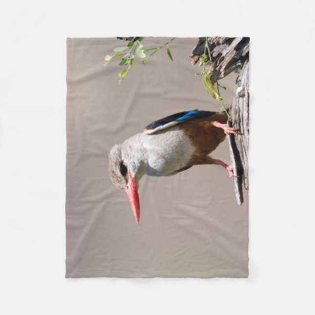 Couverture Polaire Grey-Headed Kingfisher (Devant)