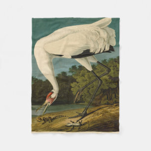 Couverture Polaire Grue blanche Audubon Peinture d'oiseaux
