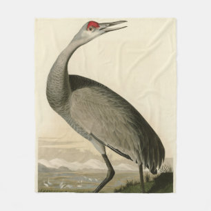 Couverture Polaire Grue de Sandhill d'Audubon's Birds of America