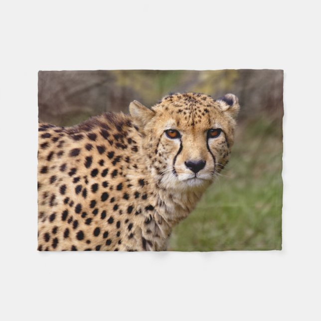 Couverture Polaire Guépard (Devant (Horizontal))