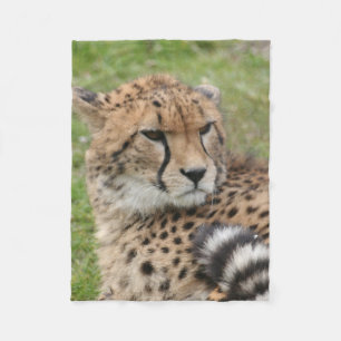 Couverture Polaire Guépard 1115