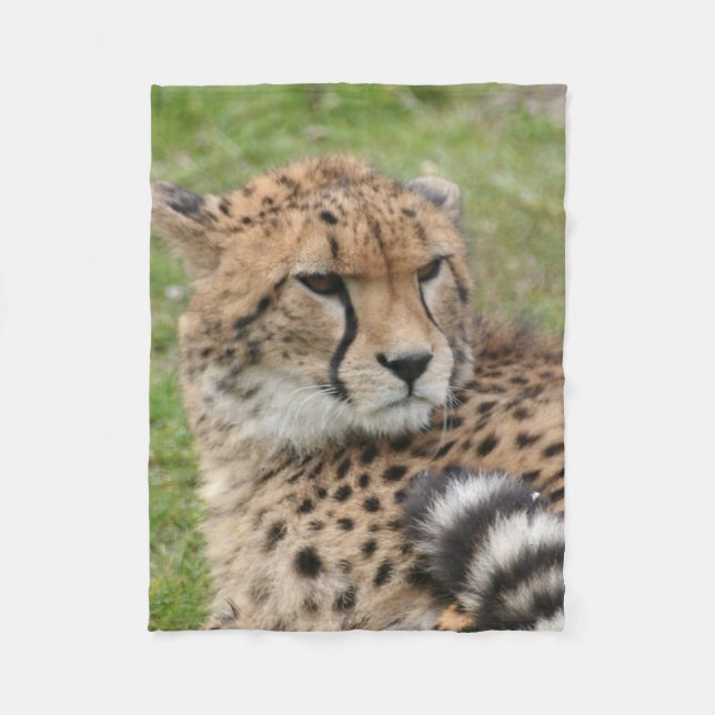 Couverture Polaire Guépard 1115 (Devant)