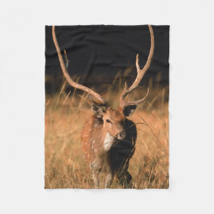 Couverture Polaire Habitat naturel du chital Parc national de Bandh