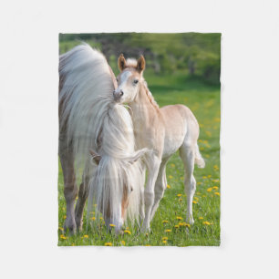 Couverture Polaire Haflinger Horses Cute Baby Foal Avec Maman Photo .