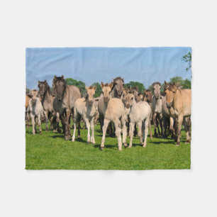 Couverture Polaire Herd Grullo Coloré Dulmen Cheval Folies -