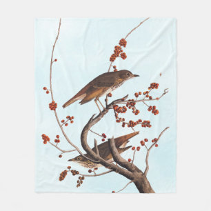 Couverture Polaire Hermite Grive Audubon Oiseau aux baies rouges