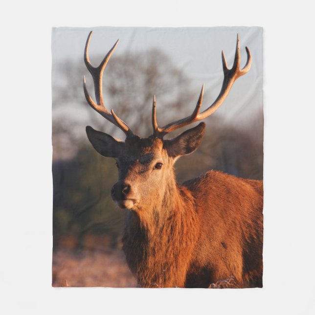 COUVERTURE POLAIRE HI DEER (Devant)