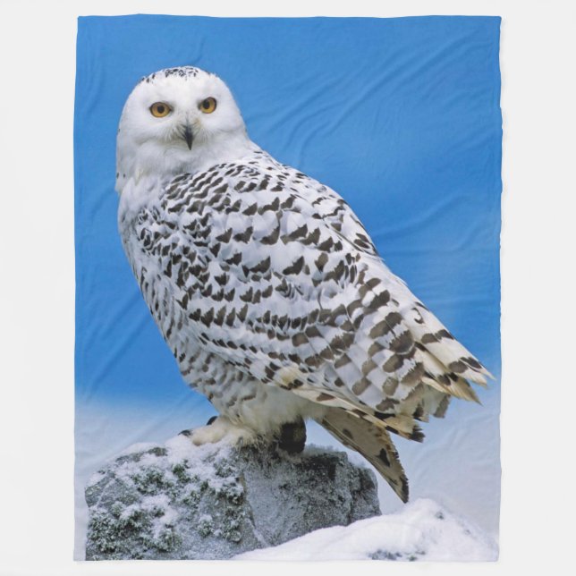 COUVERTURE POLAIRE HIBOU DE NEIGE (Devant)