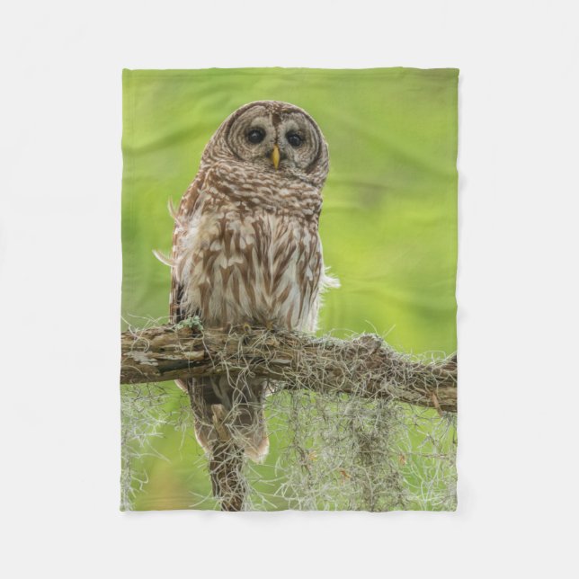 Couverture Polaire Hibou rayé sur branche d'arbre (Devant)