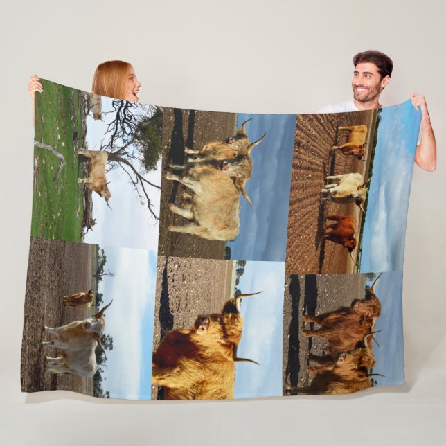 Couverture Polaire Highland Cow Photo Collage, (En situation)