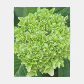 Couverture Polaire Hydrangée verte