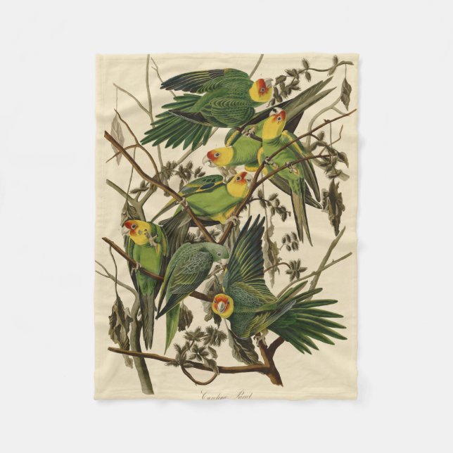 Couverture Polaire Illustration Audubon Carolina Parrot Bird (Devant)