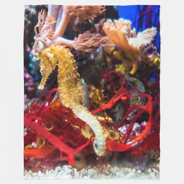 Couverture Polaire Imaginaire Seahorse (Devant)
