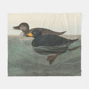 Couverture Polaire Impression de Macreuse noire d'Audubon : Canard cô
