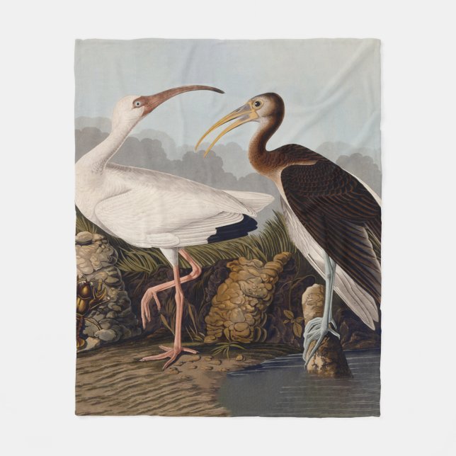 Couverture Polaire Impression d'oiseau Ibis blanc de John James Audub (Devant)