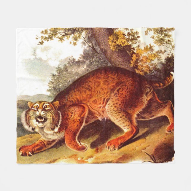 Couverture Polaire Imprimerie de bobats du 19e siècle (Devant (Horizontal))