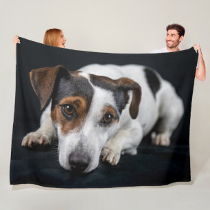 COUVERTURE POLAIRE JACK RUSSEL TERRIER