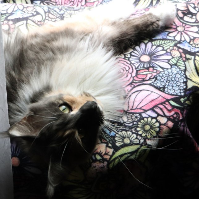 Couverture Polaire Jardin de fées Jardinage Jardins de fleurs Fées    (Créateur téléchargé)