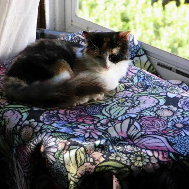 Couverture Polaire Jardin des fées (Créateur téléchargé)